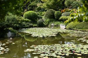 Magali BIANCO - BULLES DE SOURIRES